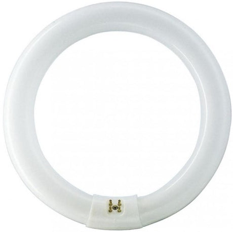 Philips ronde tl 32w 840 tle coolwhite 5900612