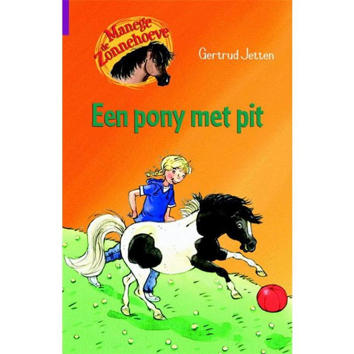 Kluitman rideskole De Zonnehoeve har en pony med gejst