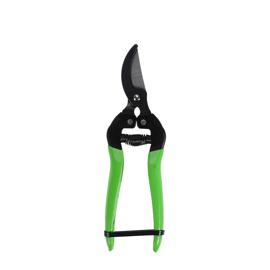 Pro garden snoeischaar type 1 groen 18cm