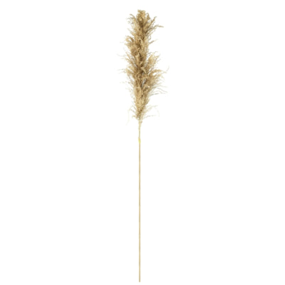 Parlane pampas græs natur 120 cm | 18 stk