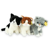 Sunkid poes zwart wit 40 cm | 6 stk