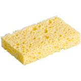 Lodde svamp