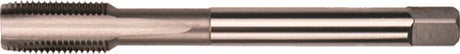 Rotec hsse 800 m.tap npt 1 16-27 - 3430020 - 343.0020