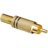 Tulipan stik