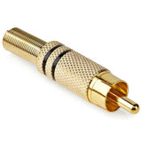 Tulipan stik