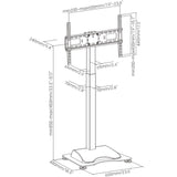 TV standard