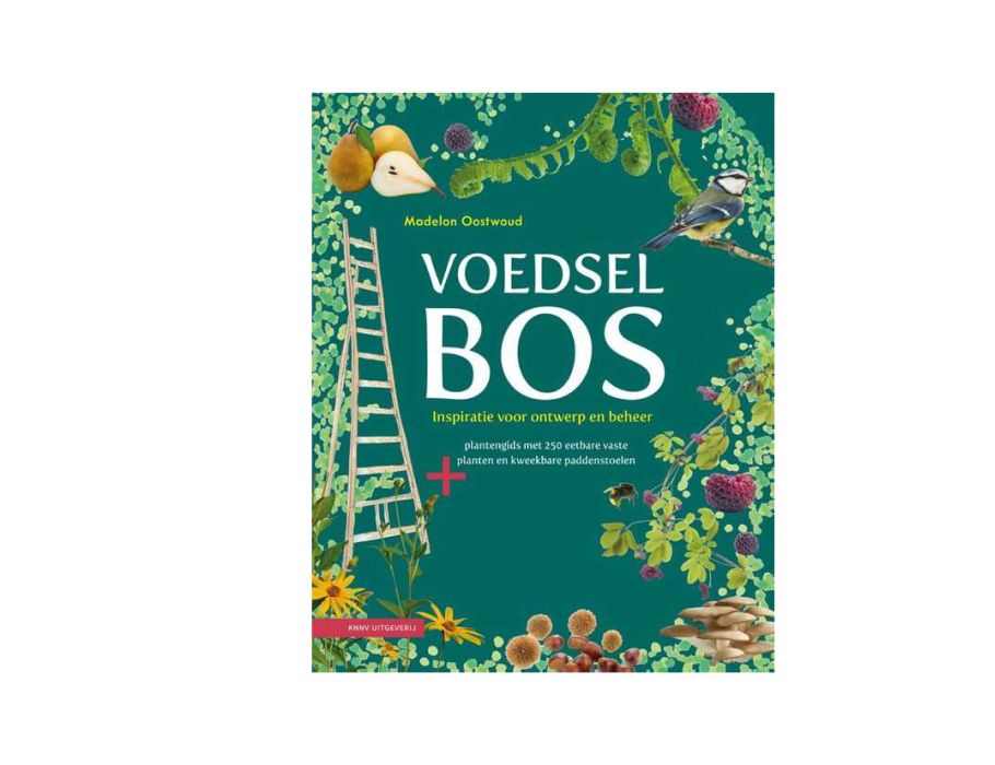 Boekhuis bog mad skov
