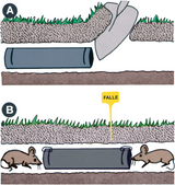Connex muslingefælde plastik - wmf