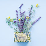 Nesti dante lavanda blu del mediterraneo sæbe 150gr.