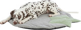 Trixie Puppy Ligmat Star Gray Mint Green
