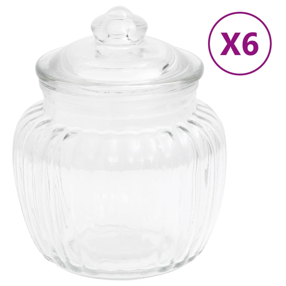 Vidaxl Storage Pots 6 St. 500 ml glas