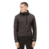 Regatta bresdon softshellcoat mænd sort grå størrelse xl